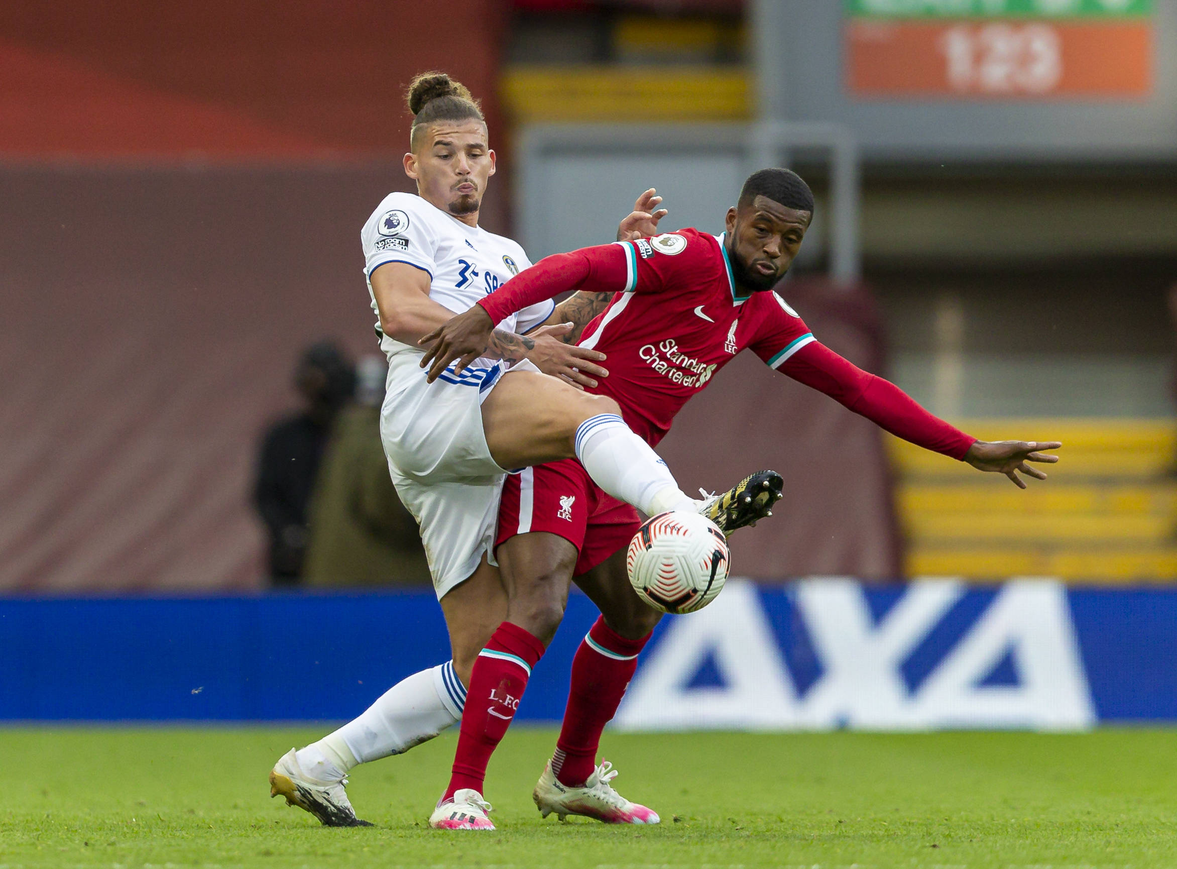 职业生涯的 职业生涯的