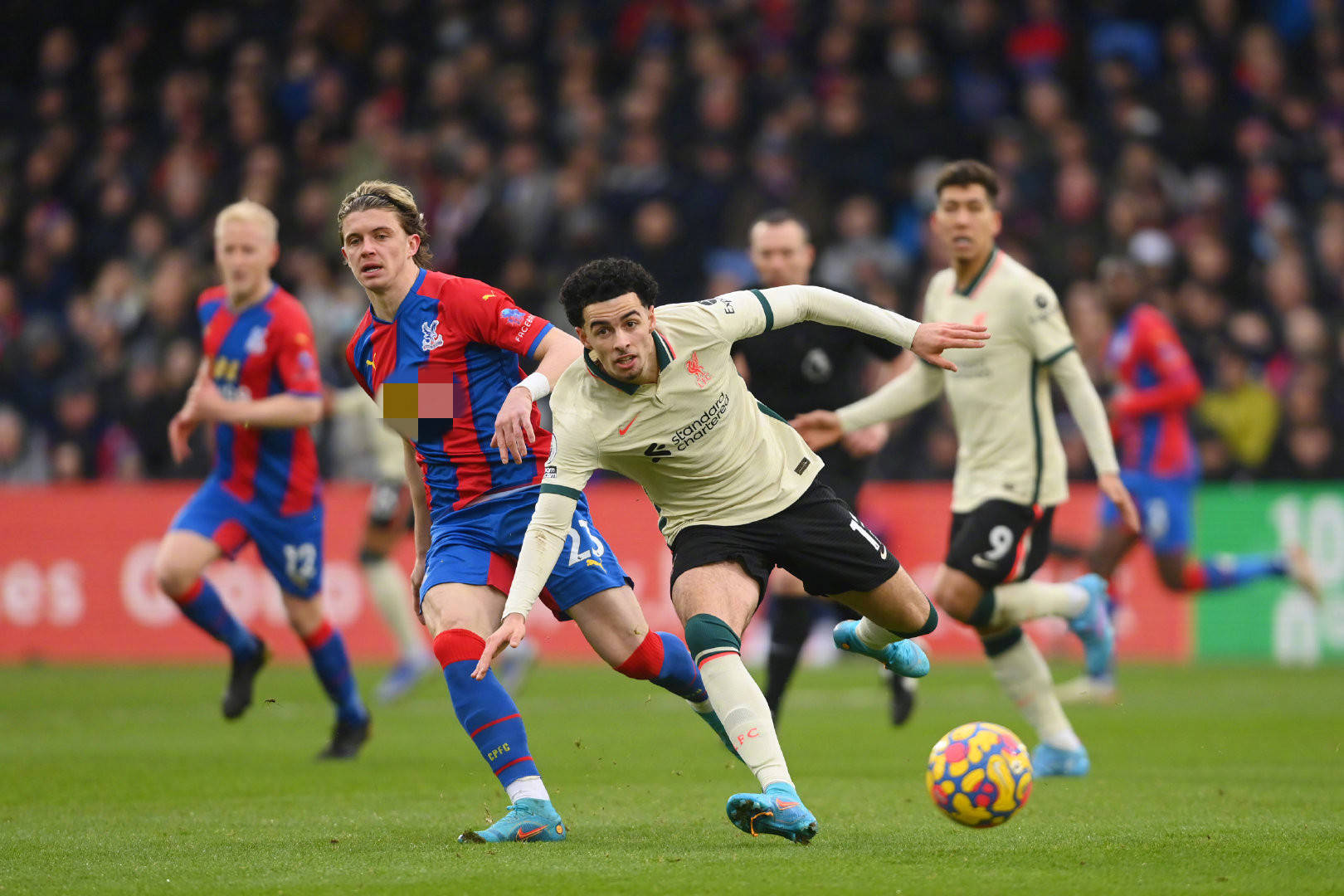 愿意接受海 愿意接受海