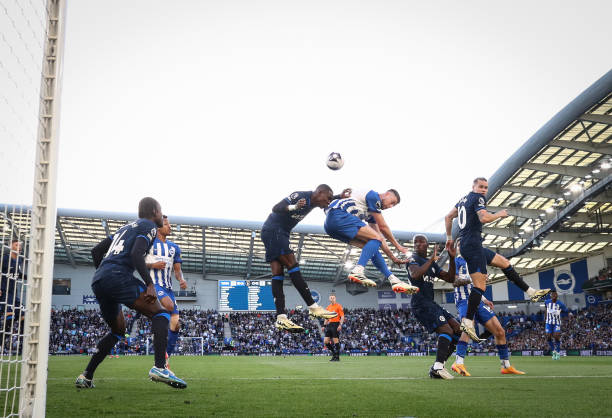 的长期发展 的长期发展