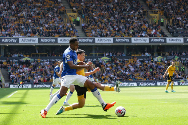 迷与专家们 迷与专家们