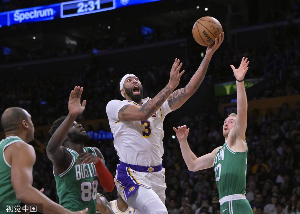 娃与施耐德 娃与施耐德